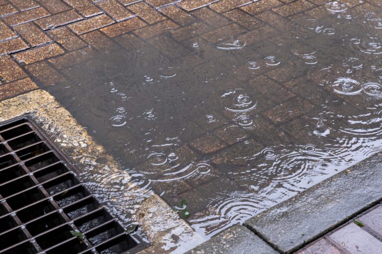 Will recent rainy days and approaching El Niño ease the drought in San Antonio? Not exactly say experts.